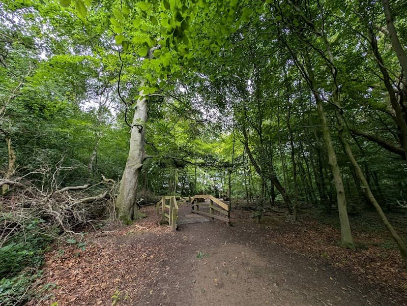 Kingmoor Nature Reserve - Image 2