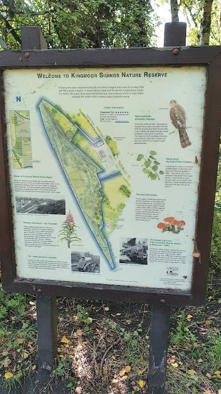 Kingmoor Nature Reserve - Image 1