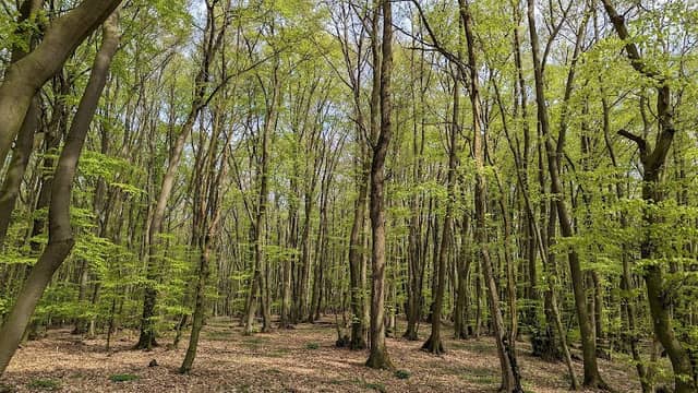 Intruper Berg - Image 1