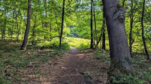 Intruper Berg - Image 2