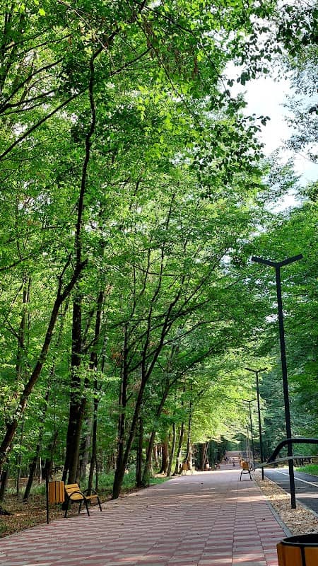 Promenada Păulești - Image 1