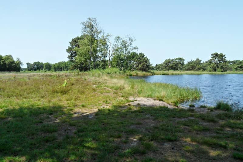 Schultenwolde - Image 1