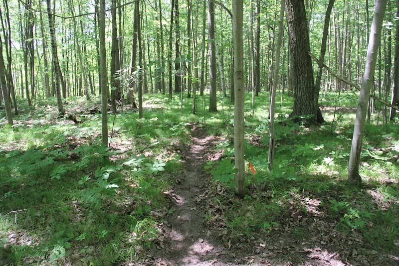 Kabana Preserve (Hall's Lake Natural Area) - Image 1