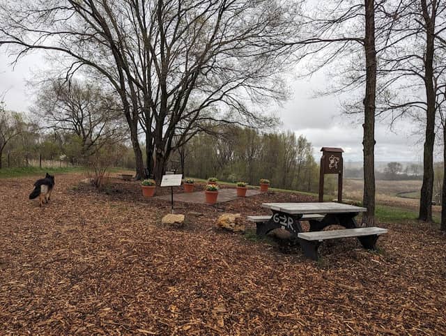 WAG Farms Dog Park - Image 1