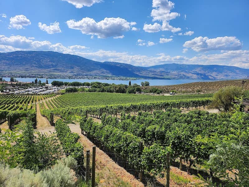 Nk'Mip Cellars - Image 1