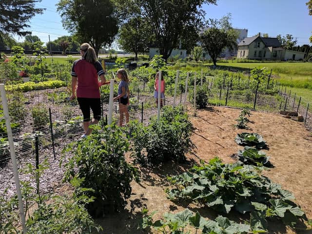 Rock River Community Garden - Image 1