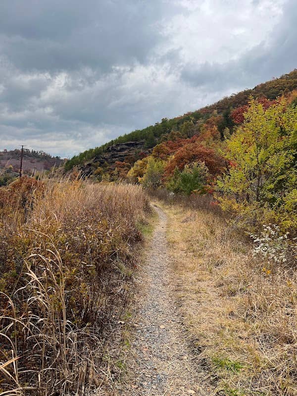 Winter Trail - Image 2