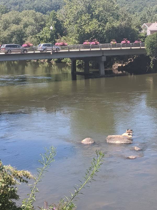 Bryson City River Gazebo - Image 2