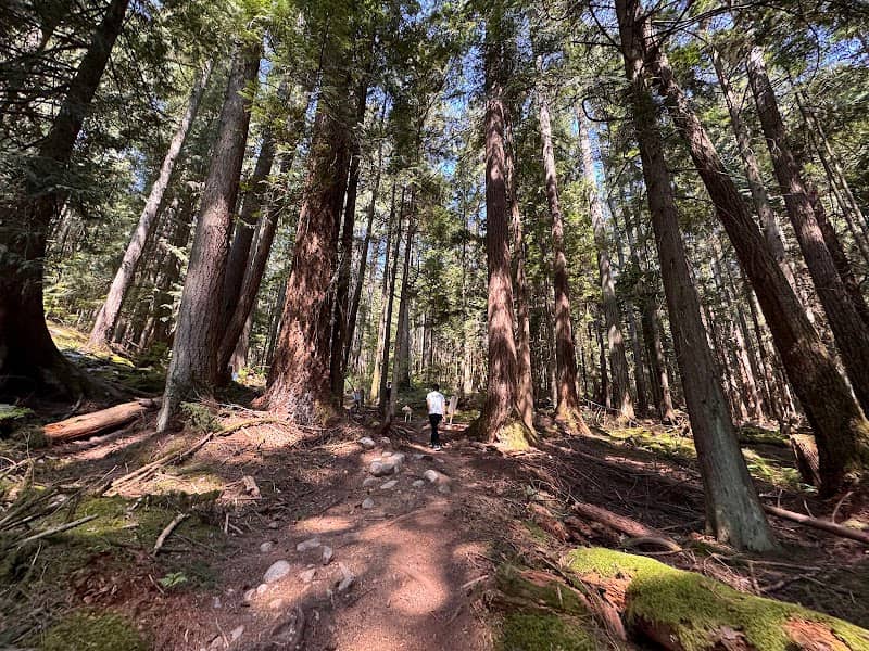 Quarry Rock Hike - Image 3