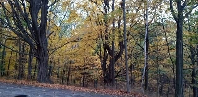Pere Marquette Conservation Park - Image 3
