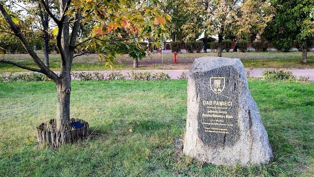 Dąb pamięci - Image 1