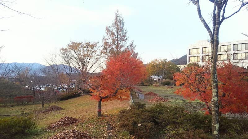 Inishienooka Park - Image 2