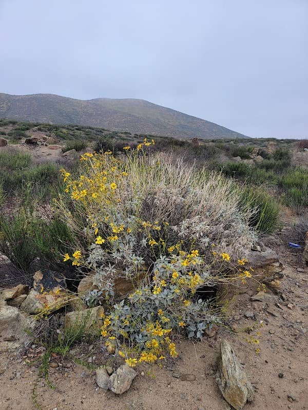 Northeast Trailhead Entrance - Image 2