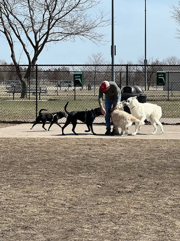 Maxwell Park Dog Park - Image 1