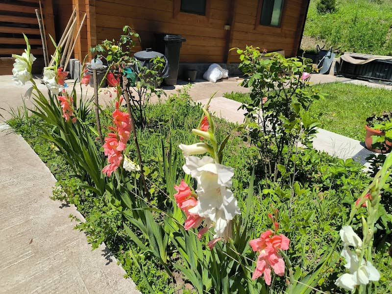 Cabana Mura - Image 1