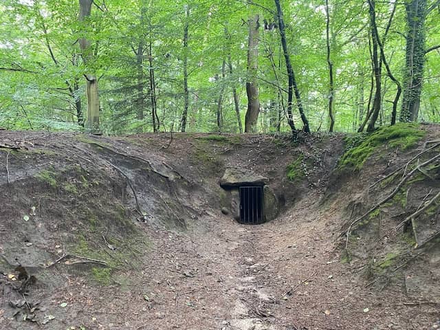Vorgeschichtspfad Flögeln - Image 1