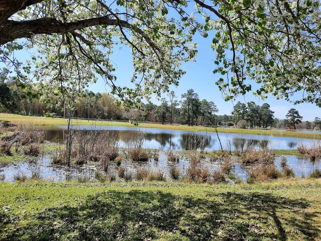 Harmon park - Image 1