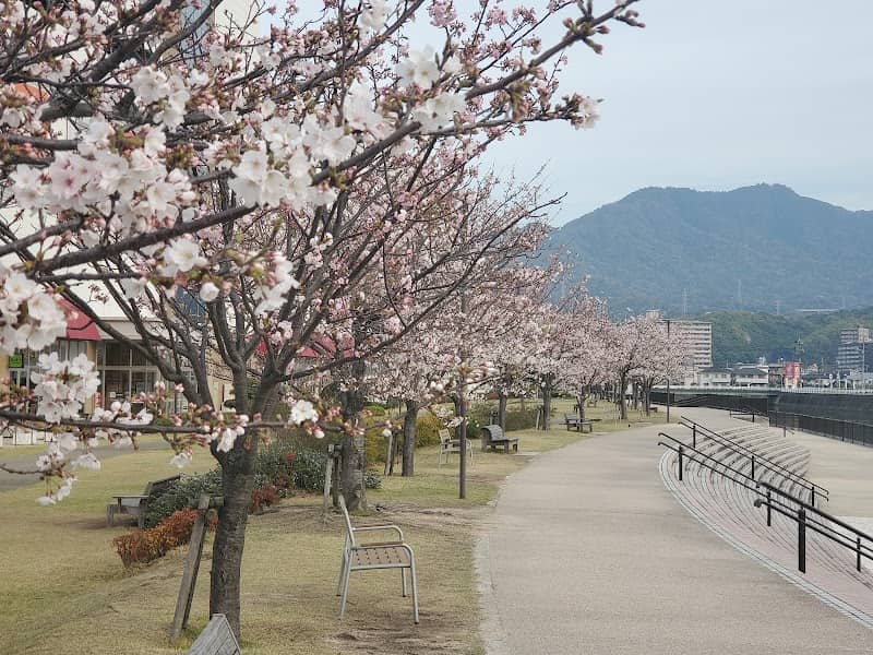 Yumesakura Park - Image 2