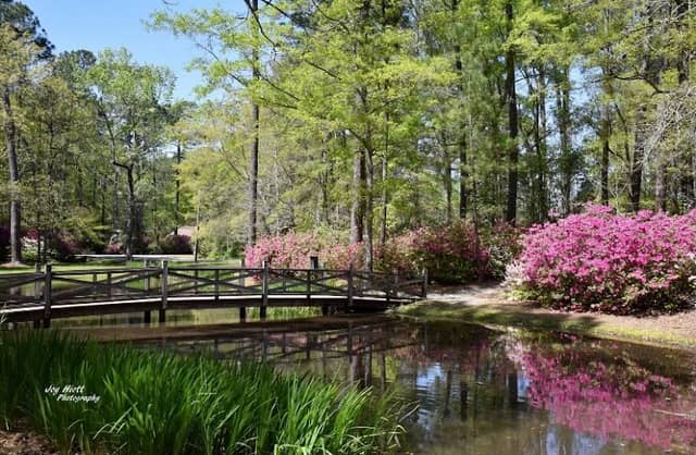 Shepard Park - Image 2
