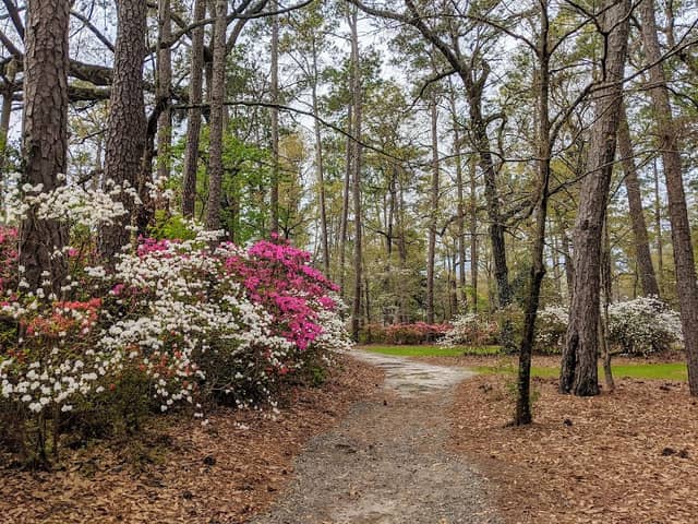 Shepard Park - Image 3