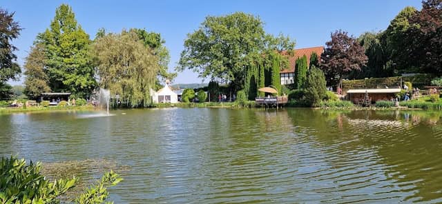 Fontäne, Renkenörener See (2018) - Image 1