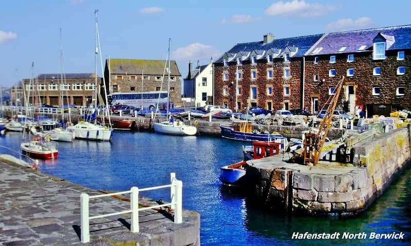 North Berwick Harbour - Image 3