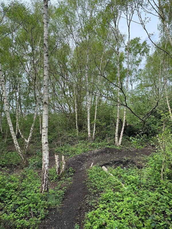 Calvert Lane Railway Triangle - Image 1