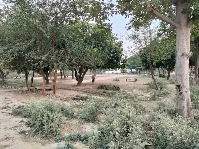 Elite City Garden - Image 1