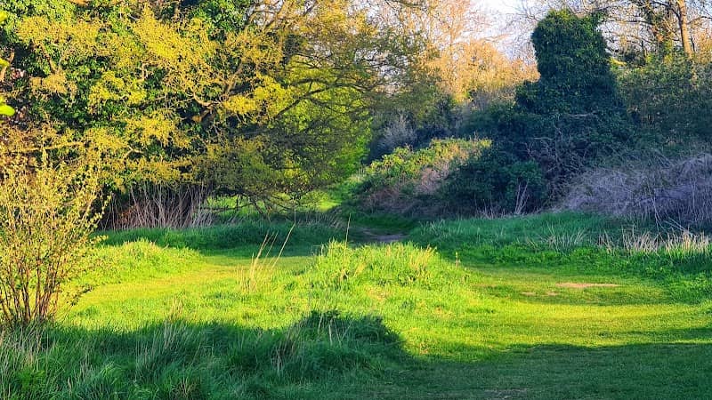 Recreational Bicycle Path - Image 2