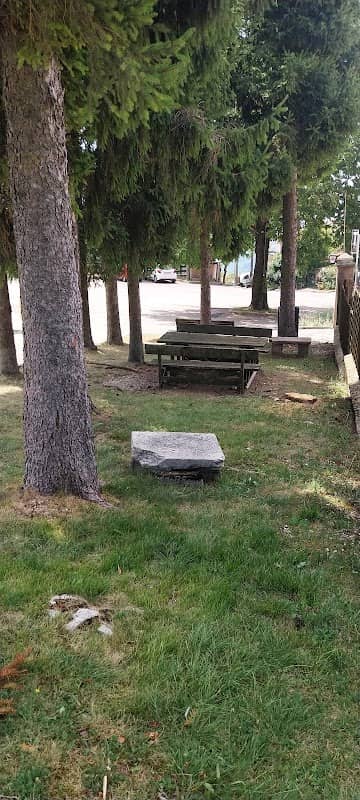 Area pic nic - Image 1