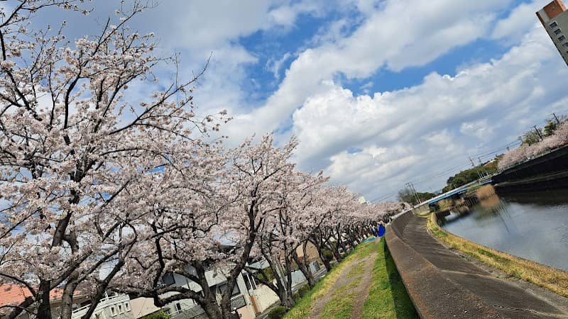 猫実川の堤 - Image 2