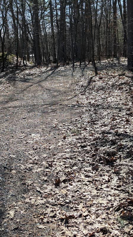 Commando Trail access from George Ave - Image 2