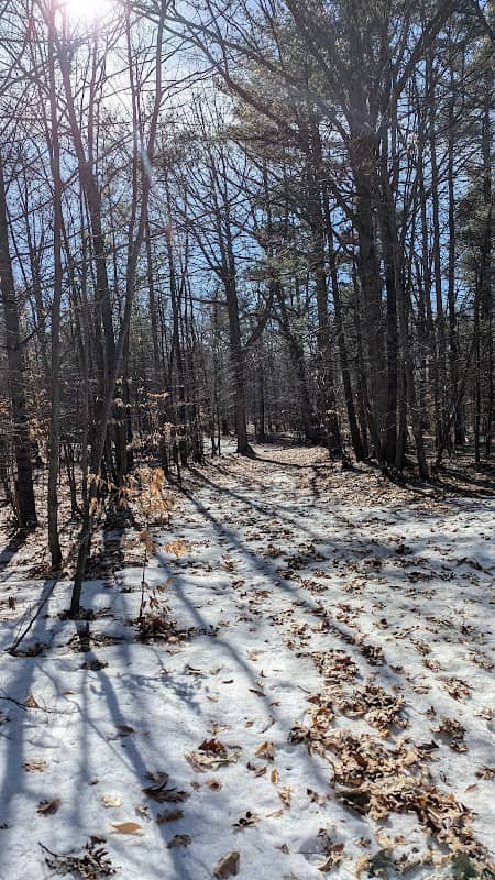 Commando Trail access from George Ave - Image 1