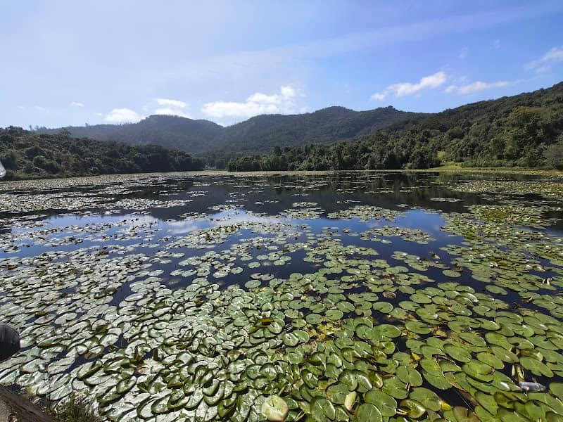 Kookal Lake - Image 1