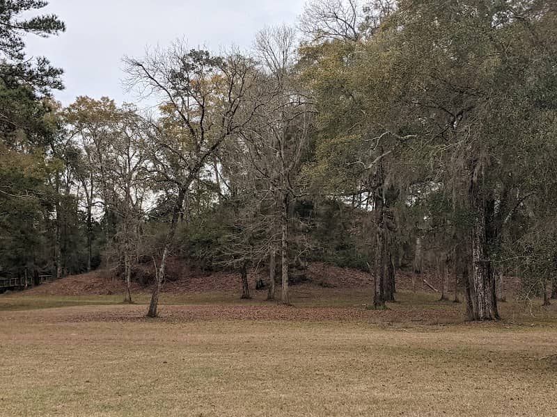 Letchworth-Love Mounds Archaeological State Park - Image 1