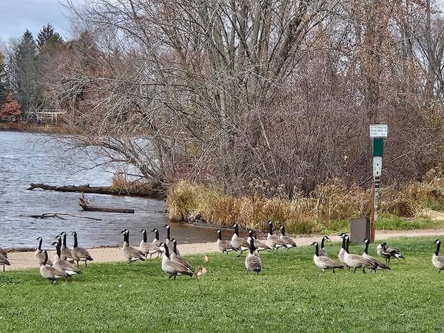 Buckhorn Wildlife Area - Image 2