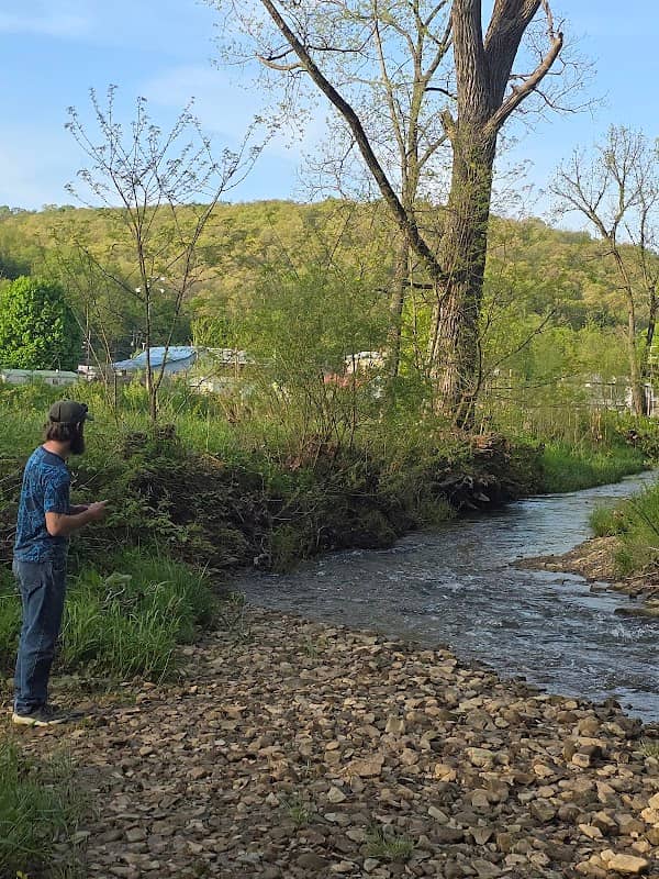 Creek Behind Park in Glenmont - Image 2