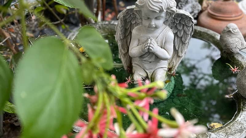 SweetHomeGarden - Image 1