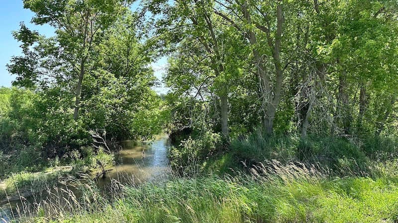 Tostenson Wildlife Area - Image 1