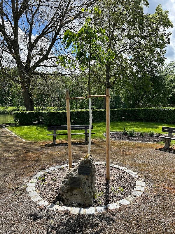 Friedenslinde Donauwörth - Image 2
