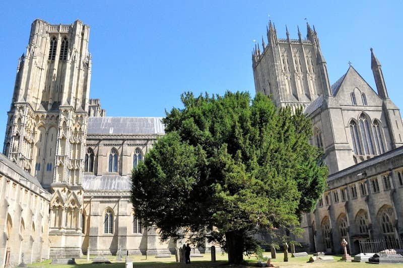 Wells Cathedral - Image 1
