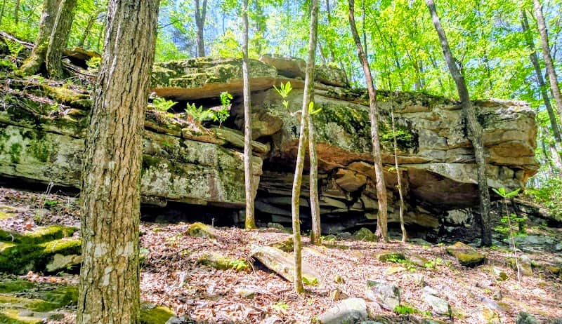 The Ridge Outdoor Resort & Off-Road Park - Image 1