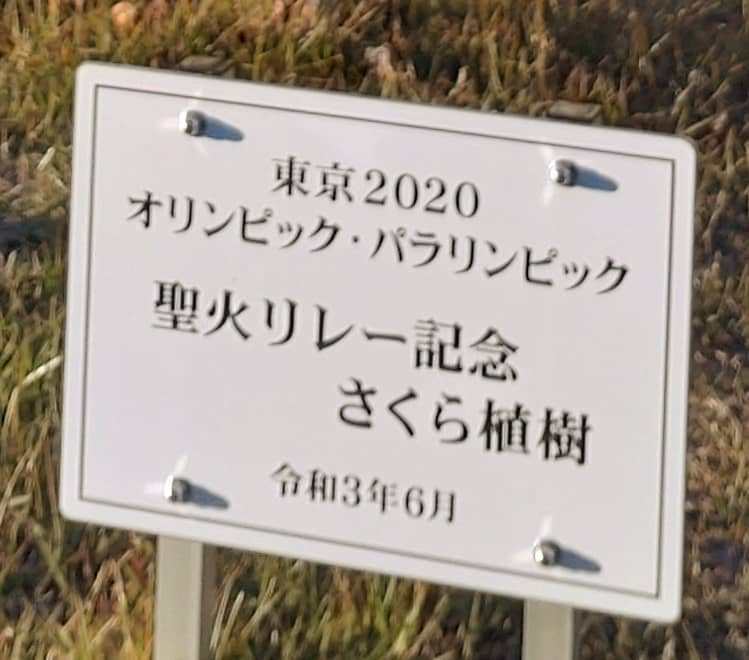 東京2020オリンピック・パラリンピック聖火リレー記念さくら植樹 - Image 2