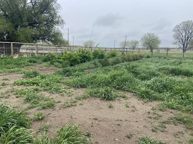 Buffalo Community Garden (WY) - Image 1