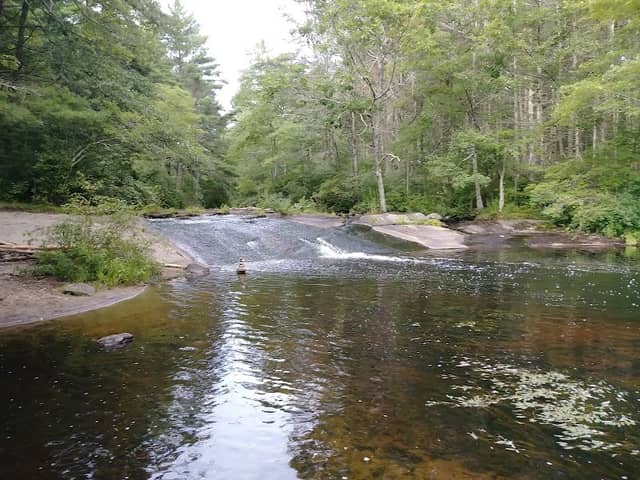 Nicholas Farm Management Area - Image 1
