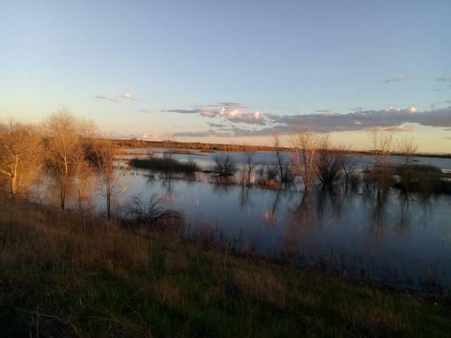 Duck Pond Trail - Image 1