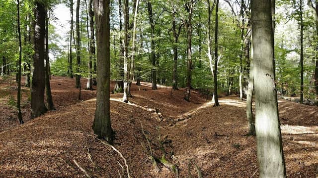 Monsilienburg - Image 1