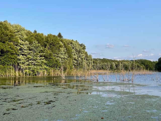Glade Run Lake Park - Image 1