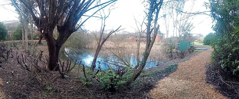 Blackbrook open space - Image 2