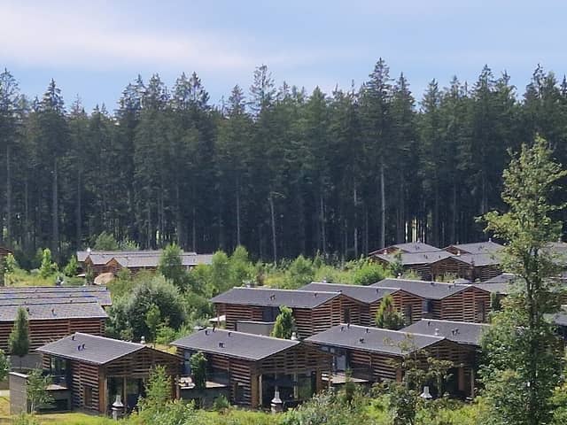 Forest Hill - Image 1